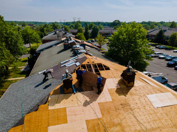 Quick and Trustworthy Emergency Roof Repair Services in Edenton, NC